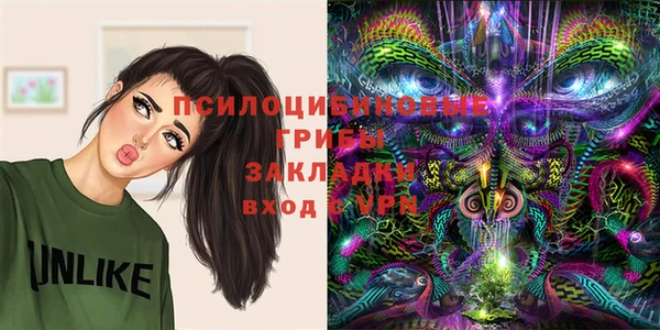 apvp Богданович