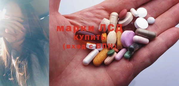 apvp Богданович