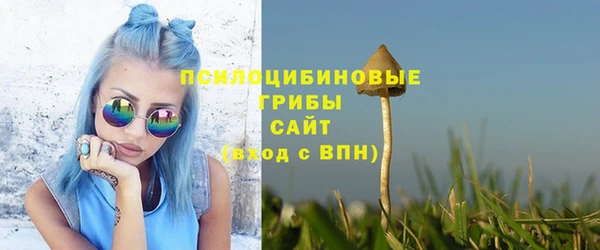 тгк Богородск