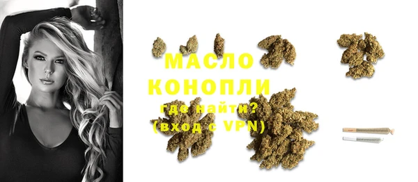 spice Богородицк