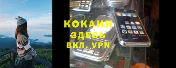 apvp Богданович